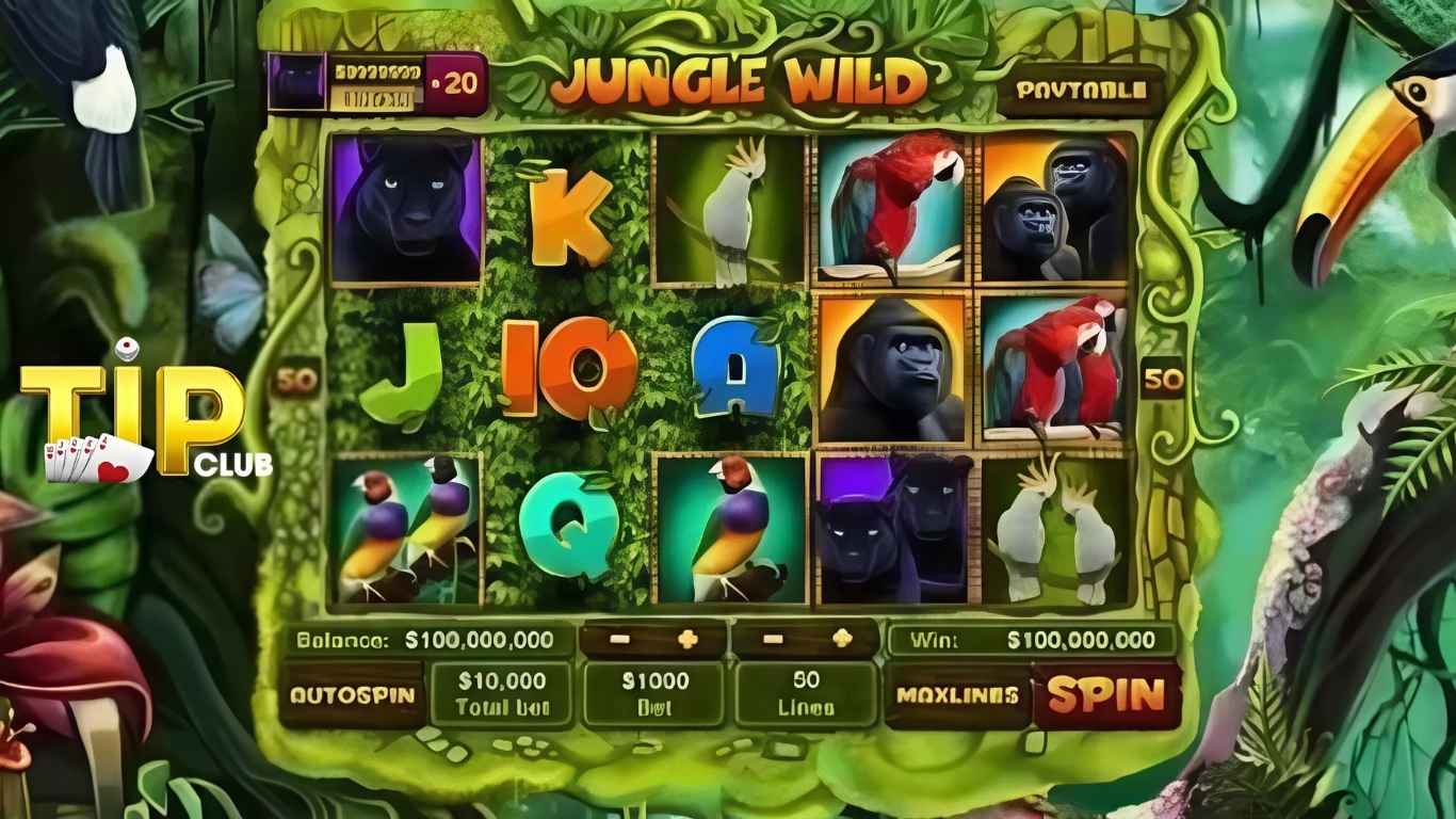 Lý do nên tham gia Lễ Hội Rừng Xanh